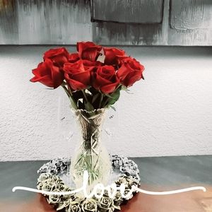 Meet your Posher, Daisy